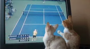 Спорт и футбол по телевизията днес (24.03)