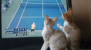 Спортът по телевизията днес (21.04)