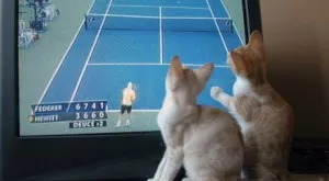 Спорт и футбол по телевизията днес (14.05)