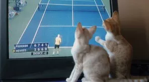 Спортът по телевизията днес (23.05)