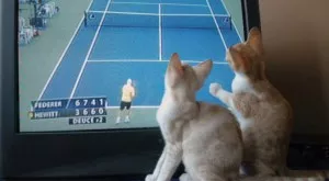 Спорт и футбол по телевизията днес (05.06)