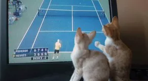 Спорт и футбол по телевизията днес (14.08)