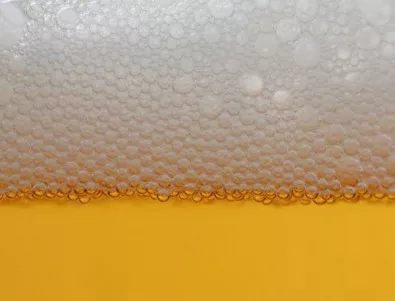 Български учени повишават антиоксидантите в бирата с 55%