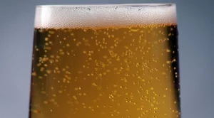 Най-често пият бира в Монтана и Русе