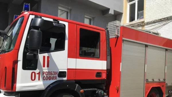 Пожар изпепели помещения на ловния парк в София