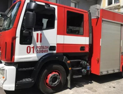 Прекършен клон падна върху автомобил в София