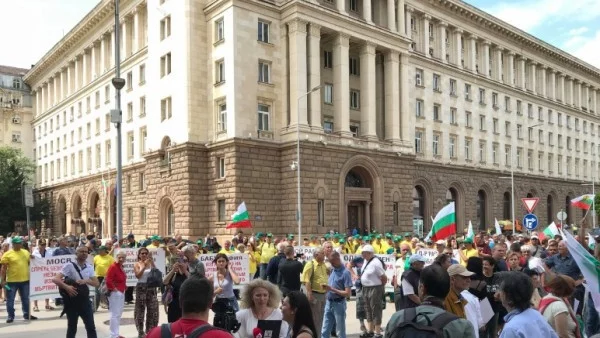 Представител на биволовъдите пита - какво прави силиконка от "Биг Брадър" на протест?