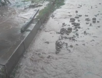 Проливни дъждове предизвикаха наводнения в Тунис