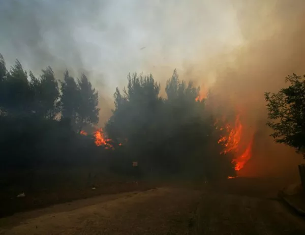 Жертвите на пожарите в Гърция станаха още повече