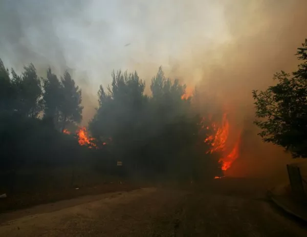Броят на жертвите на огнения ад в Гърция не спира да расте 