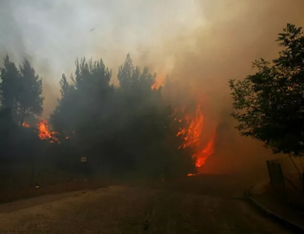 Оставка в Гърция заради опустошителните пожари 