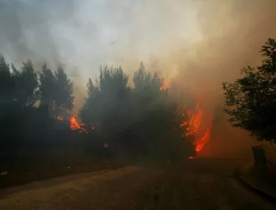 В Гърция е обявено най-високото ниво за опасност от пожари 