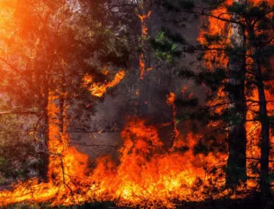Полша изпраща помощ на Гърция за борбата с пожара