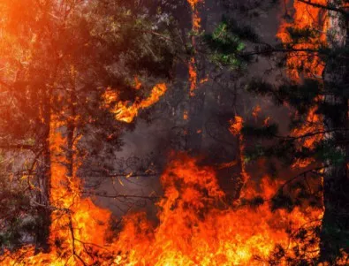 Стотици са евакуирани заради пожар край Тоскана 