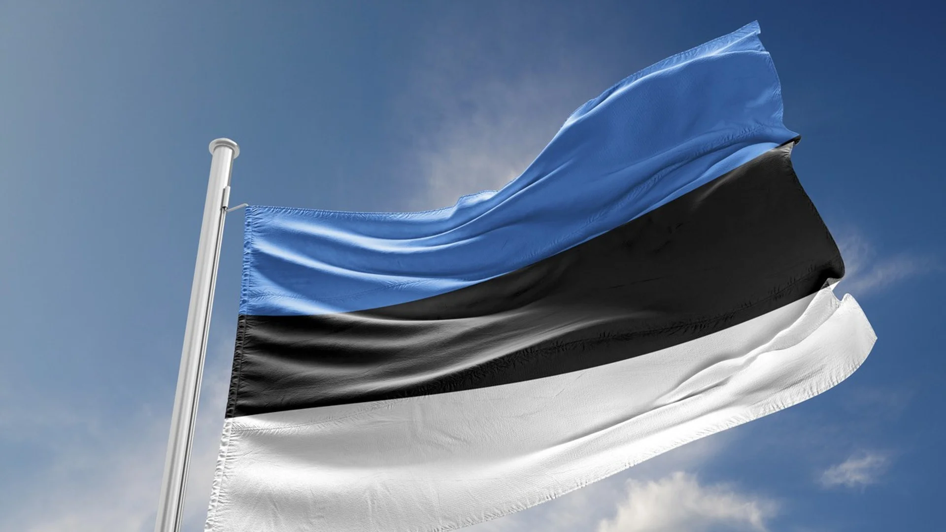 В Естония ще се гласува и по мобилен телефон