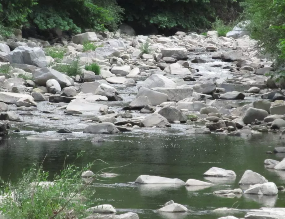 Потвърдено: Има цианиди в реките Юговска и Чепеларска (ВИДЕО)