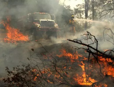 Увеличават се загиналите от пожарите в Калифорния