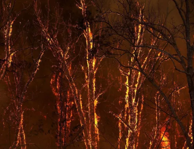Португалия се бори с огромни горски пожари