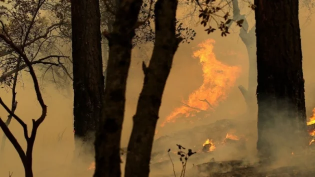 Пожар край Дуранкулашкото езеро застраши крайните къщи на граничното село