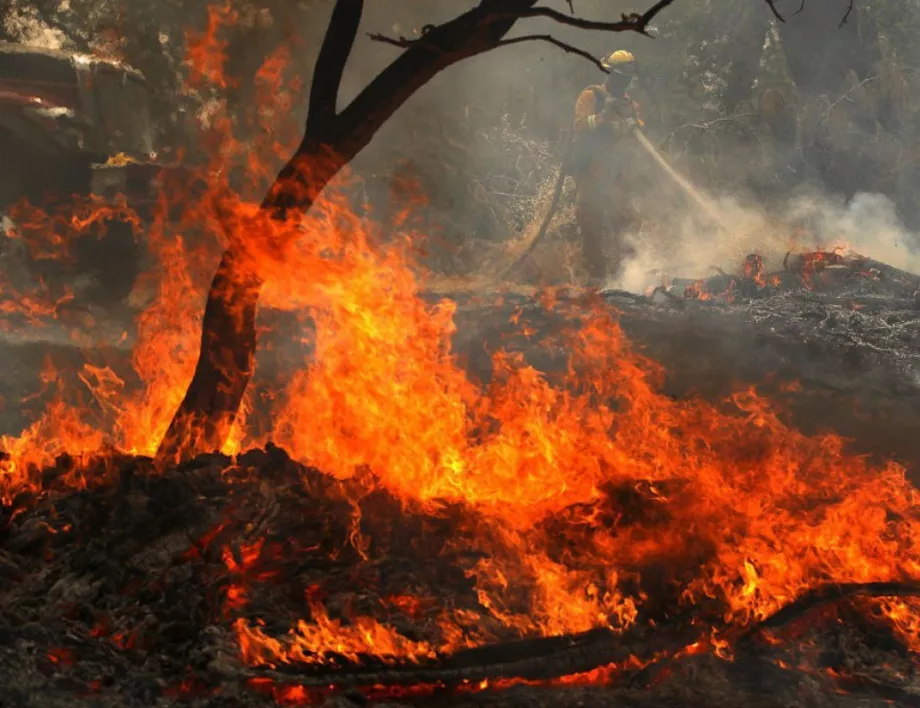 Голям горски пожар бушува близо до Атина