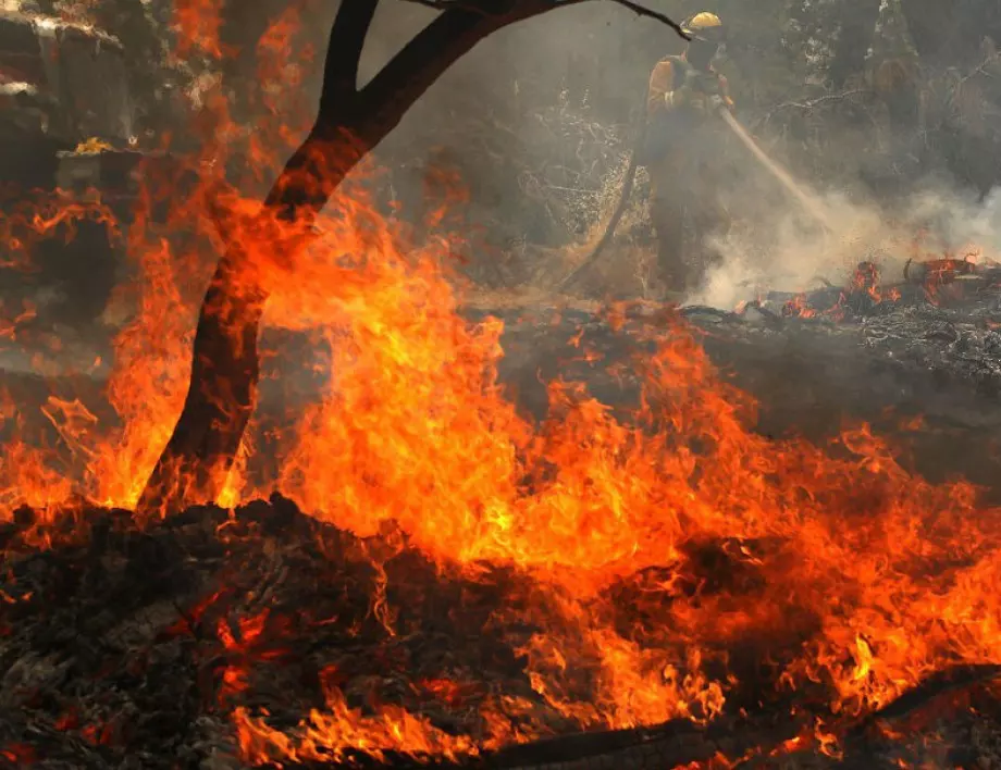 3000 декара пасища и гори е обхванал пожарът край Свиленград
