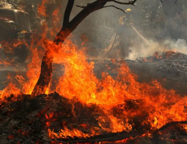 Ново увеличение на жертвите на пожарите в Гърция