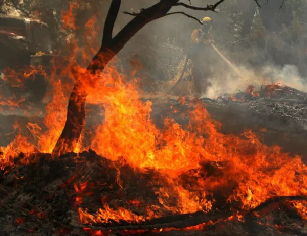Огромен горски пожар пламна в Южна Португалия