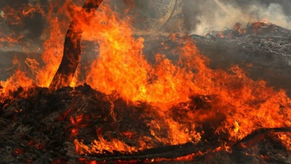 Огромен горски пожар пламна в Южна Португалия