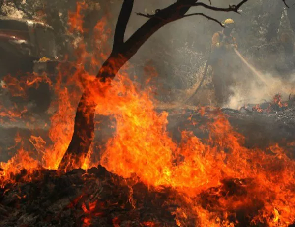 500 декара гора засегна огънят край Баня