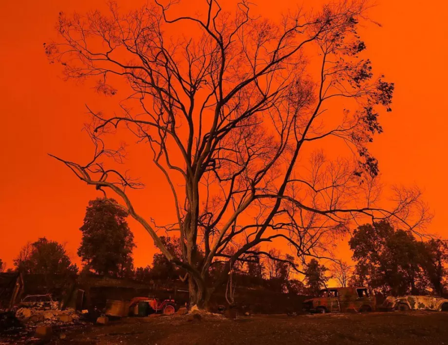 Потушиха смъртоносните горски пожари в Чили