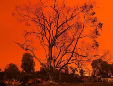 Необичайни пожари обхванаха Австралия