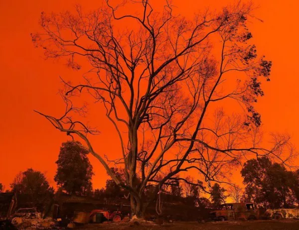 Необичайни пожари обхванаха Австралия