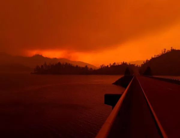 Пожар унищожи 150 ха горски масив във Франция