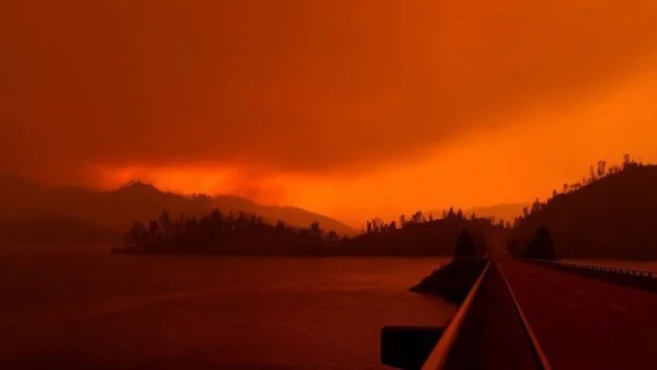 Пожар унищожи 150 ха горски масив във Франция