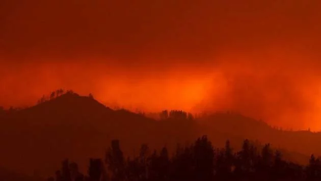 40 селища на Канарските острови са евакуирани заради горски пожари 
