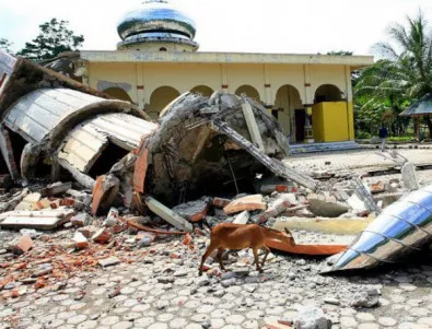 Близо 400 са жертвите на земетресението и цунамито в Индонезия