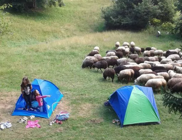 Бум на желаещи за детски лагер без мобилни телефони и интернет в Смолян