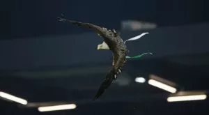 {{ otherArticle[0].article.title }}