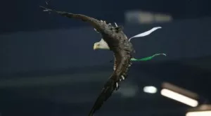 Лудогорец вади 7 милиона евро за дуо нападатели на Стяуа