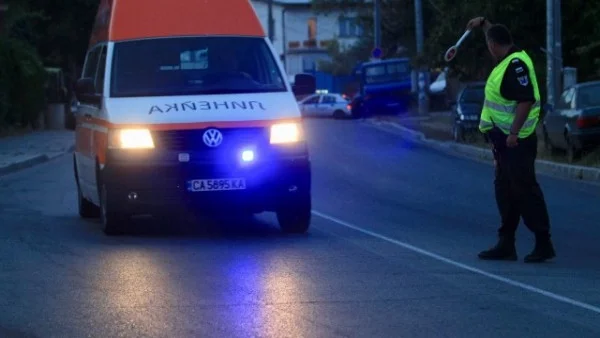 Солидно подпийнал шофьор паркира сред дървета