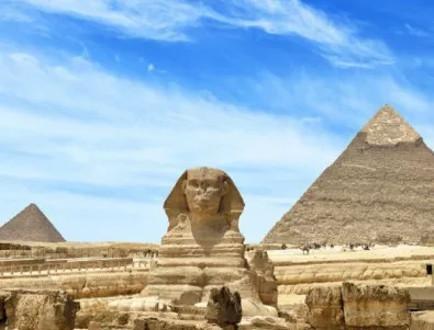 В Египет откриха гробници с мумифицирани животни 