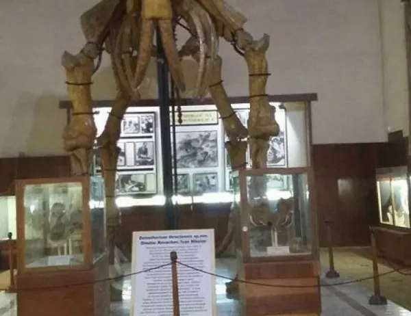 С видеонаблюдение ще се сдобие Палеонтологичният музей в Асеновград