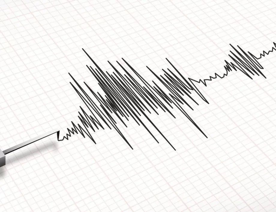 Земетресение с магнитуд 4,6 по Рихтер в югозападна Полша