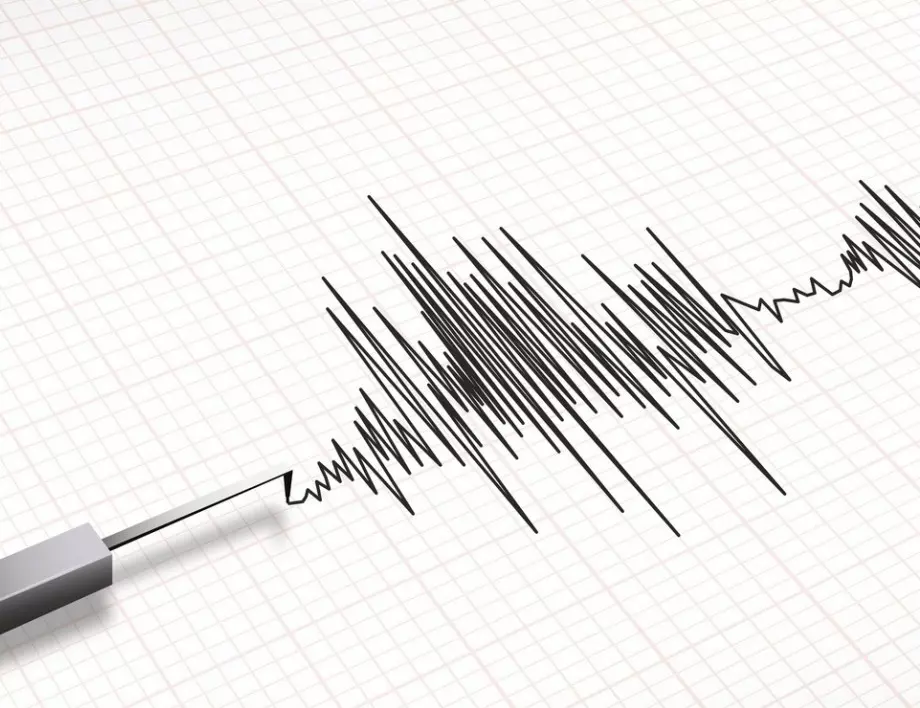 Земетресение с магнитуд 6,9 по Рихтер в западната част на Индонезия 