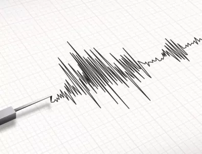 Земетресение с магнитуд 6,3 по Рихтер разтърси Япония 
