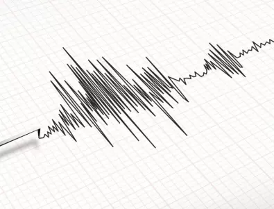 Земетресение с магнитуд 6,6 по Рихтер разлюля Нова Зеландия