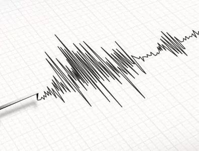 Земетресение с магнитуд 6,1 по Рихтер удари индонезийски остров