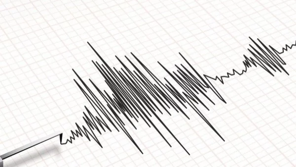 Земетресение 5,8 по Рихтер в сеизмичната зона около Вранча