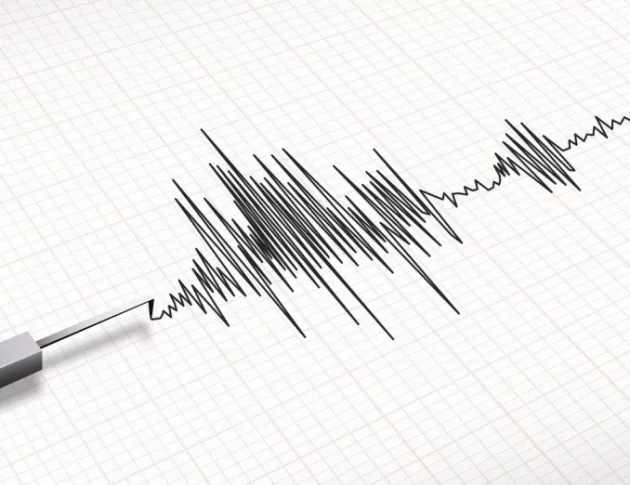 Земетресение в Западна Турция предизвика паника сред населението