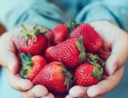 Как най-правилно да наторите ягодите през пролетта, за да имате богата реколта